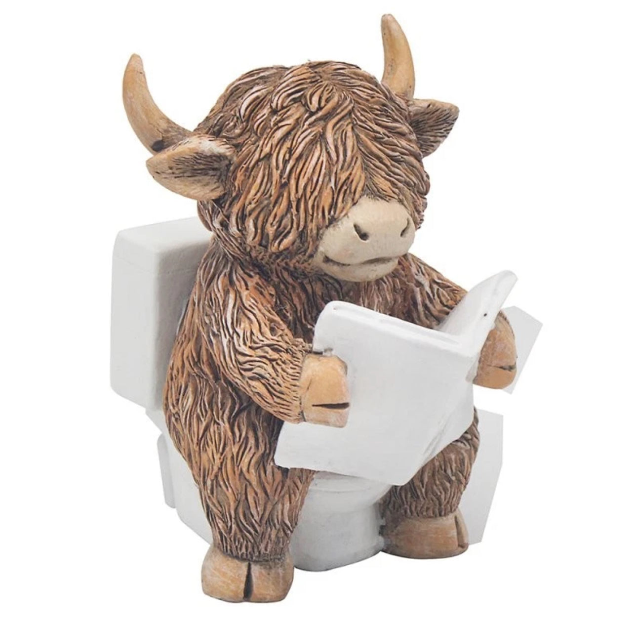 Highland Coo On The Loo