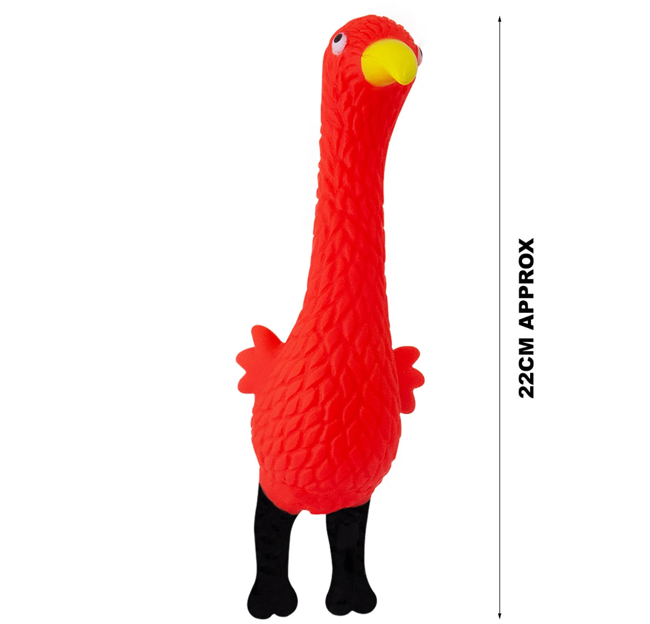 4pk Funky Bird Squeaky Chew Toys