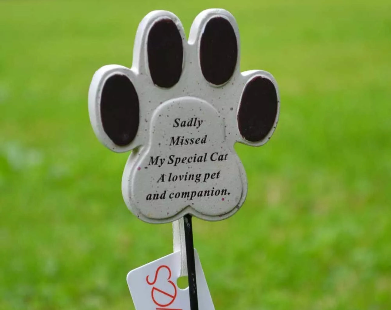 Special Cat/Dog Memorial Stake