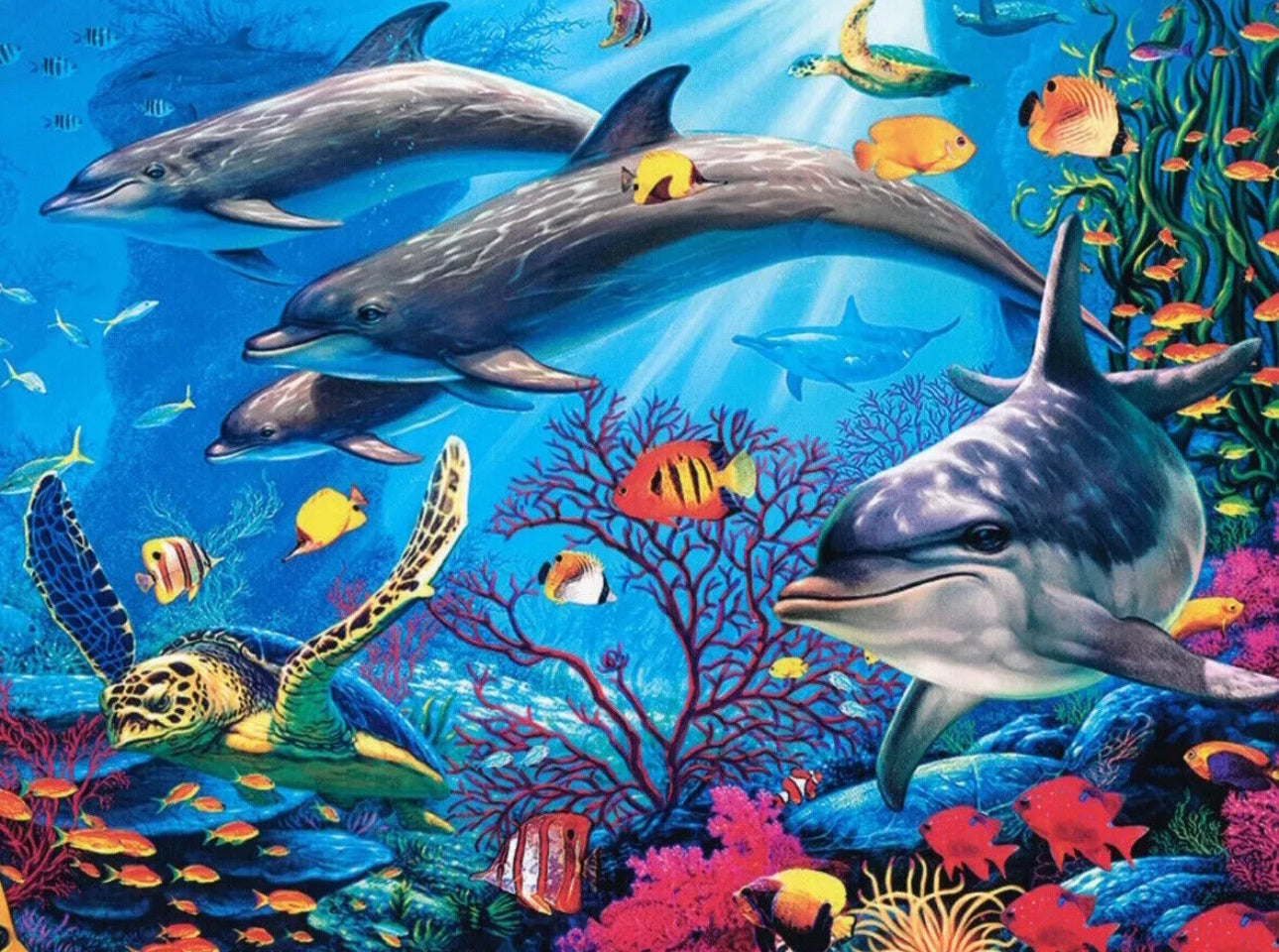 1000 piece Jigsaw Puzzles