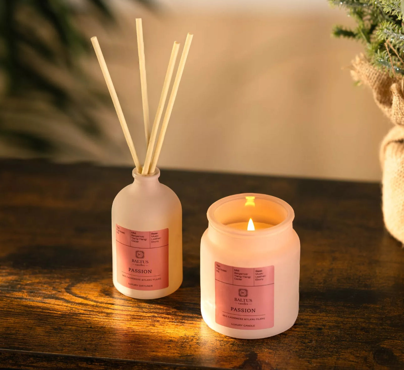 Cashmere Scented Candle and Diffuser Set