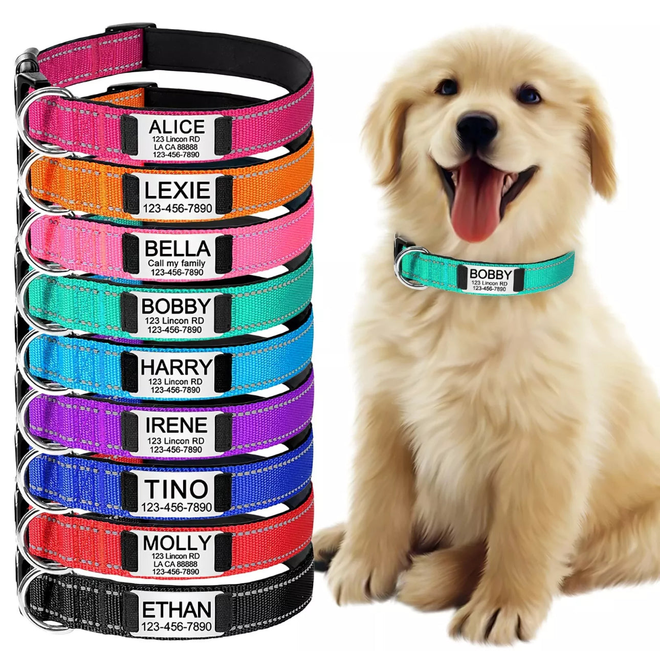 Personalised Dog Collars
