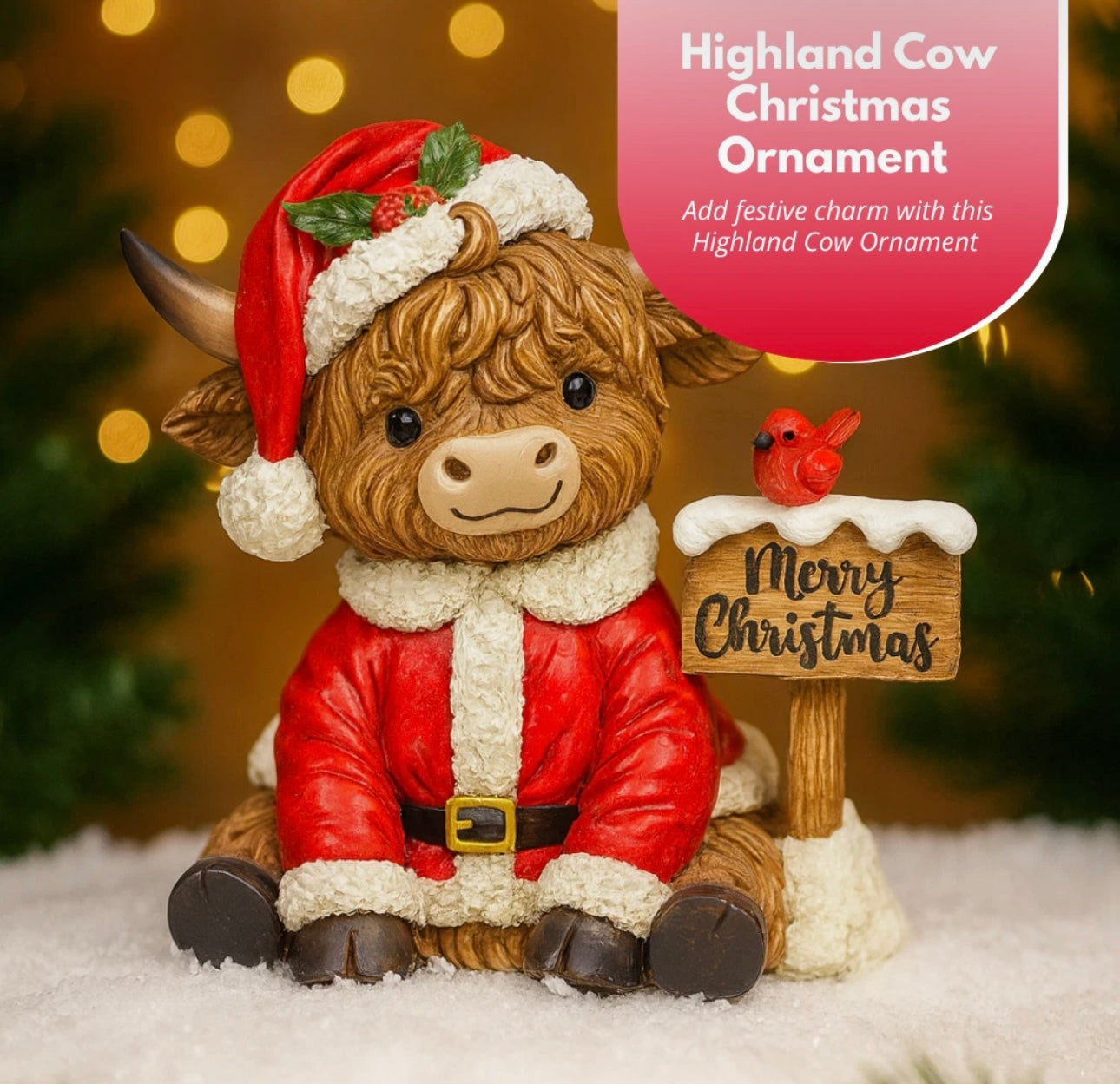 Santa Coo