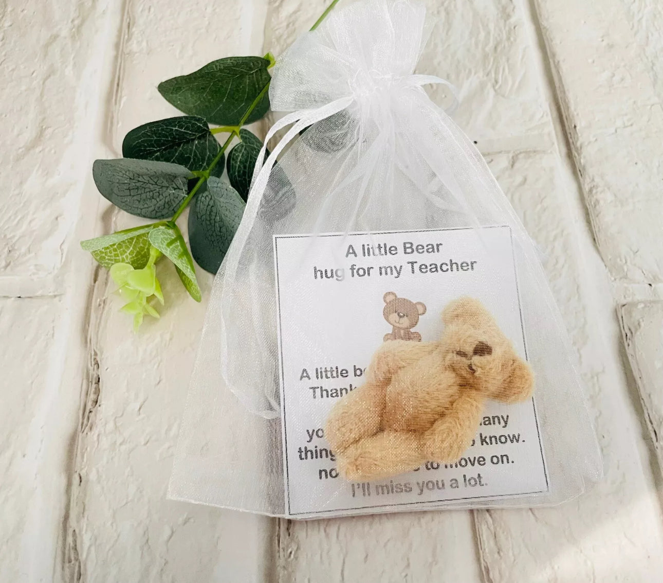 Pocket Bear Hug For My Teacher