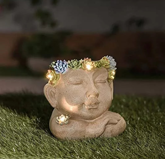 Solar Face Plant Pot