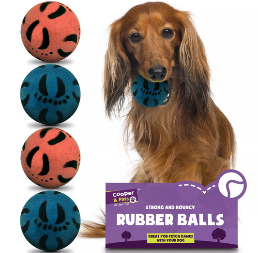 4pk Bouncy Rubber Dog Balls