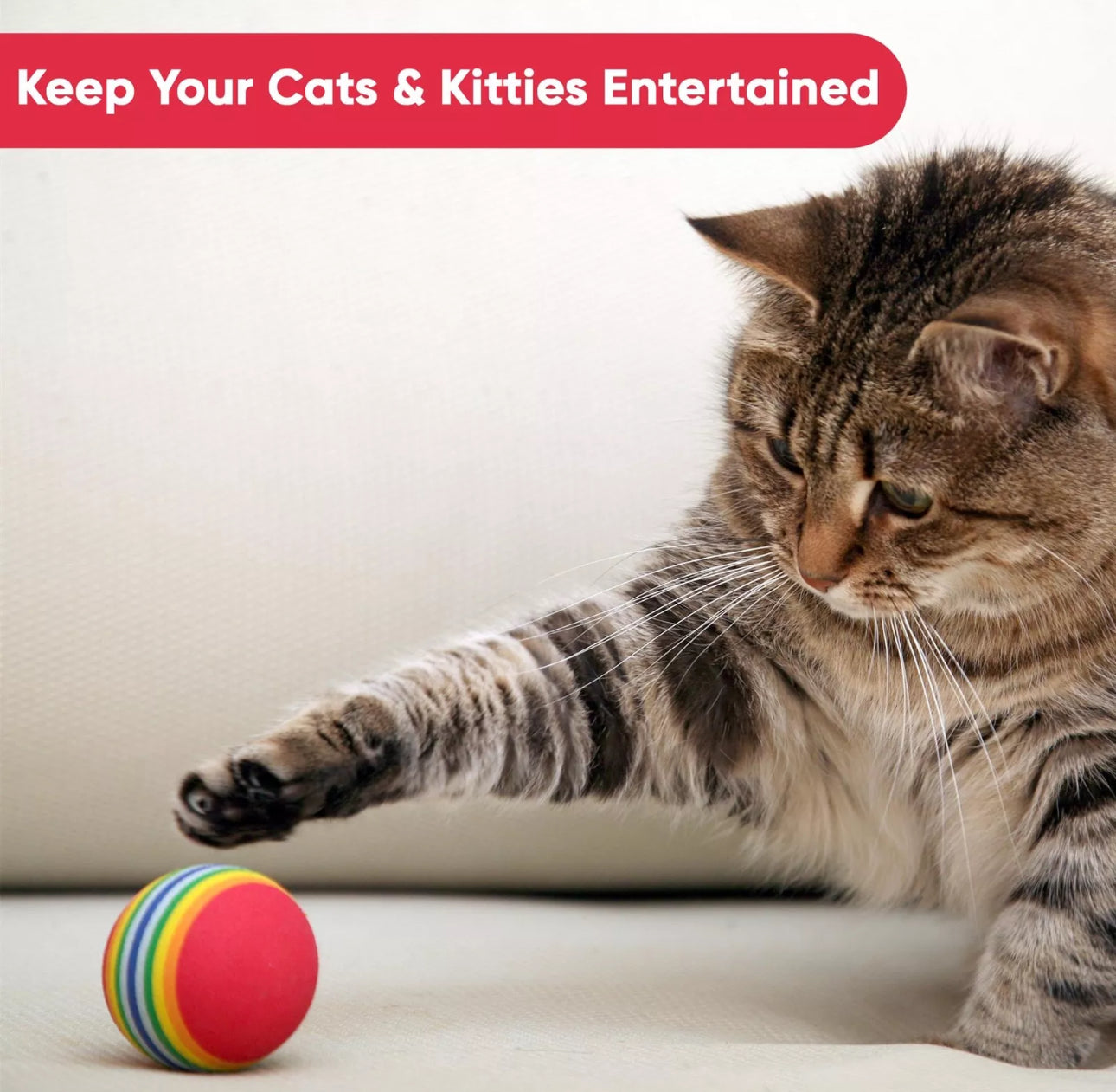 21pc Cat Toys