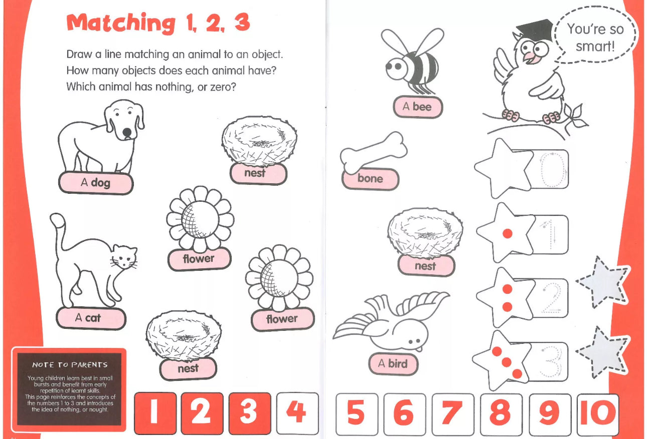 Numbers & Counting Practice
