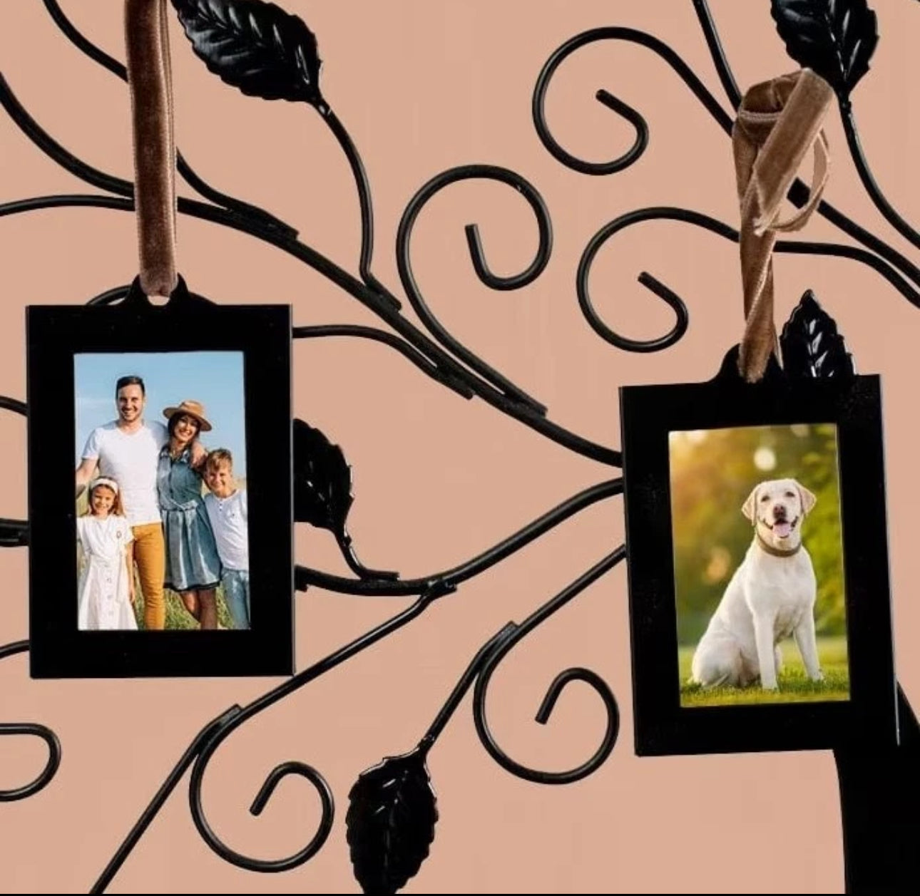 Family Tree Photo Frame With 6 Hanging Photo Frames