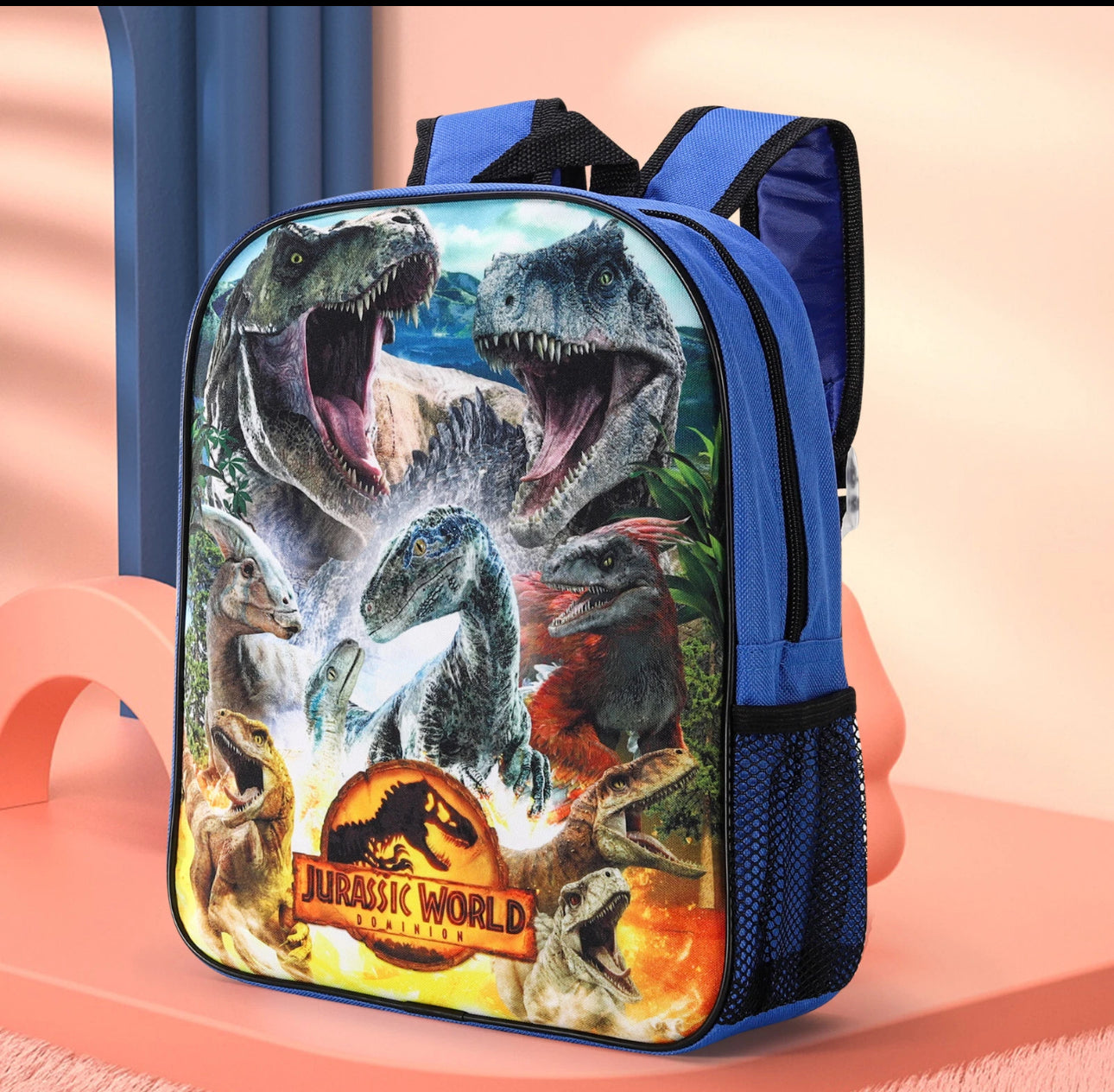 Assorted Character Backpacks