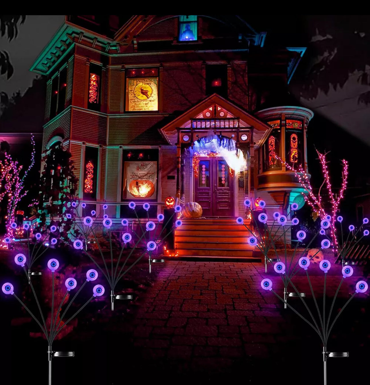 2pc Solar Eyeball Lights