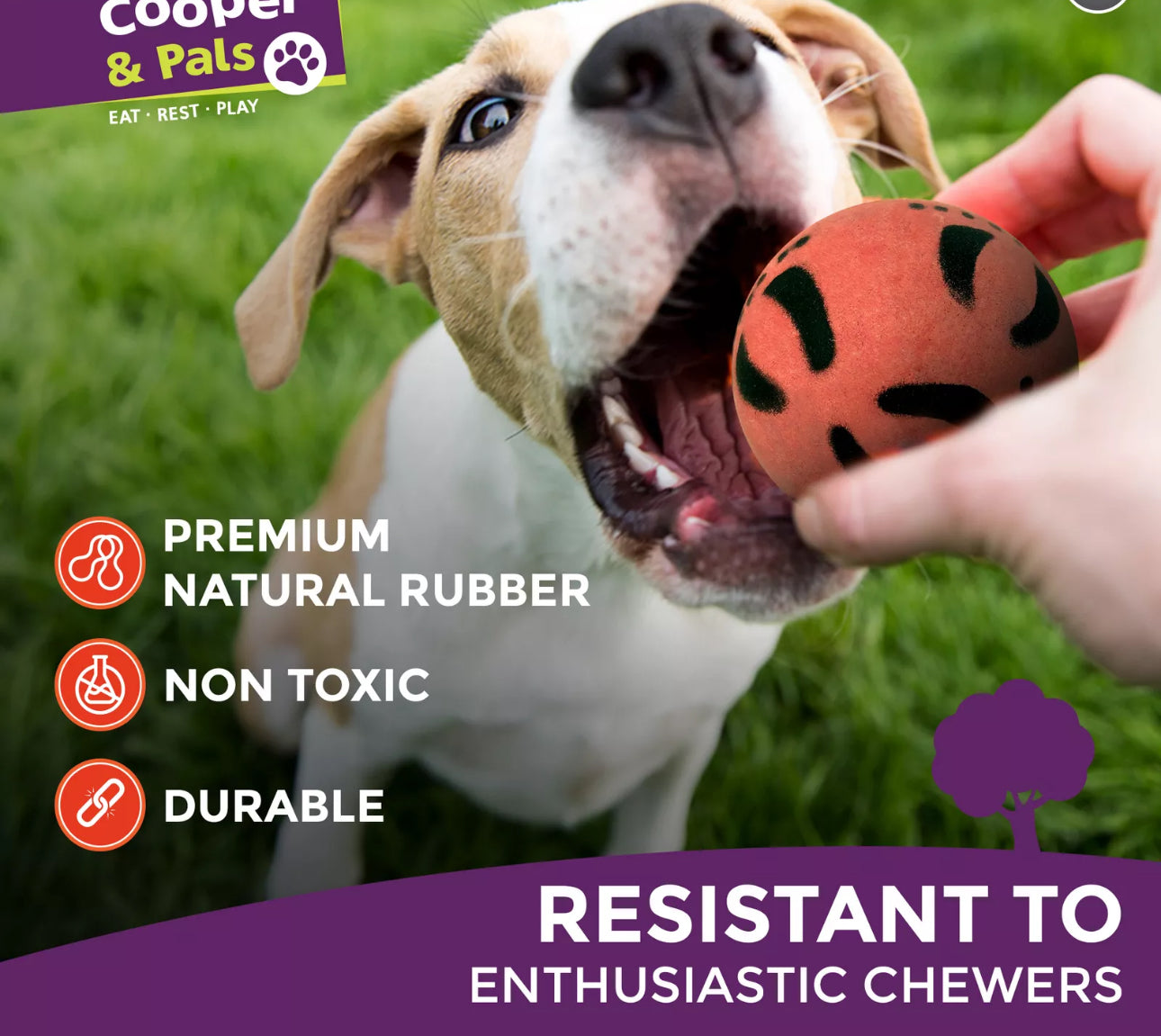 4pk Bouncy Rubber Dog Balls