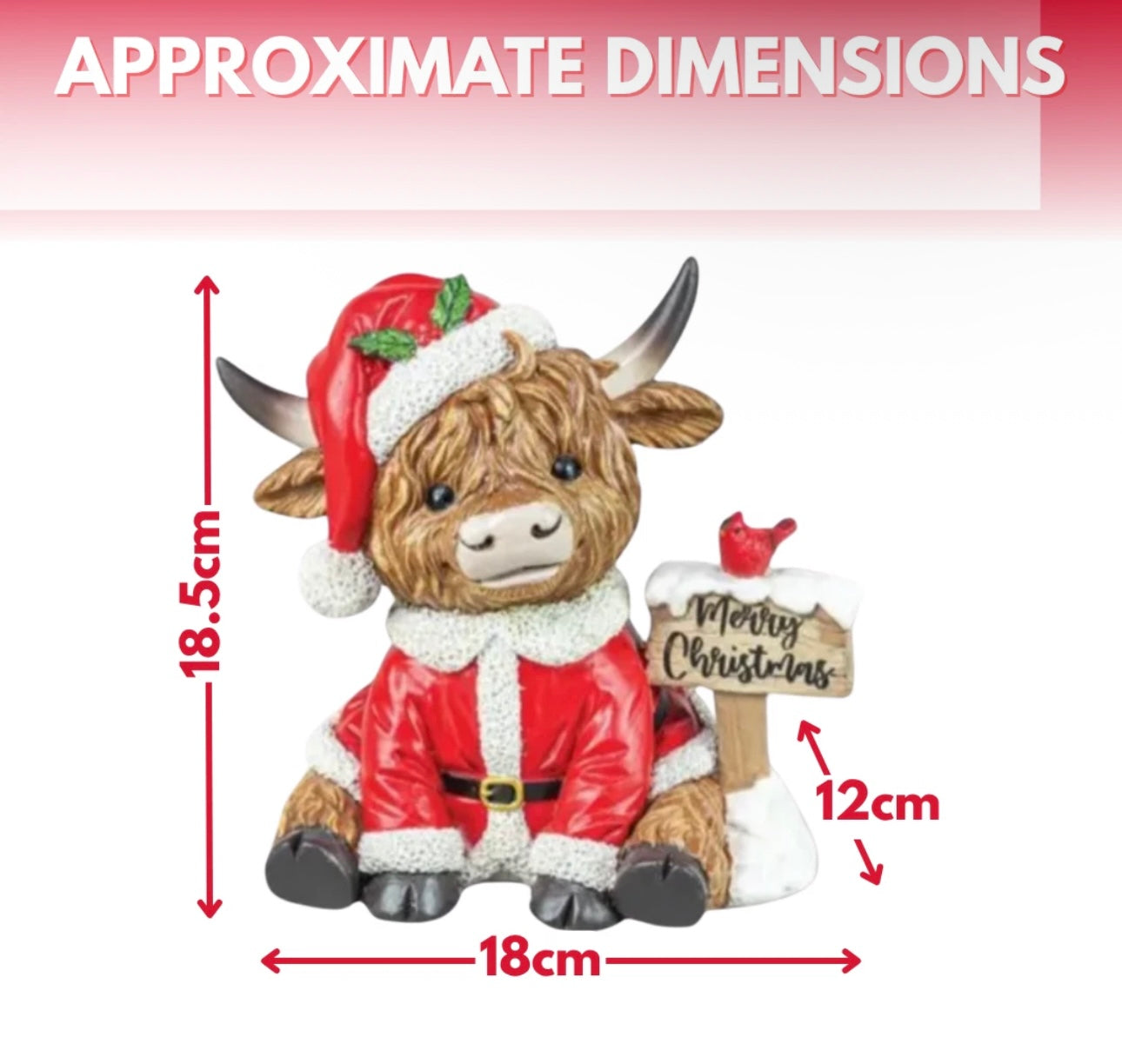 Santa Coo