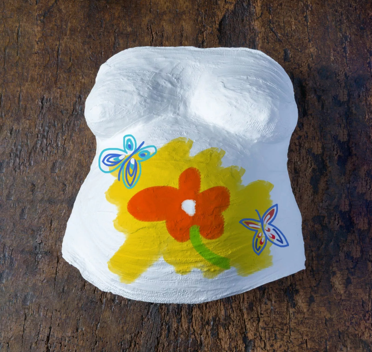 Pregnancy Tummy Cast Making Kit