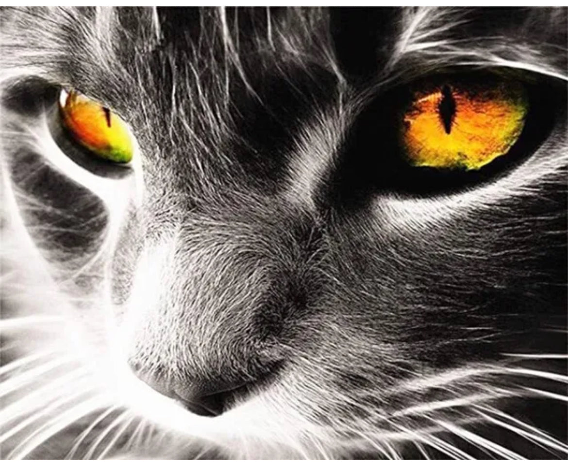 Cat Eyes Paint By Numbers