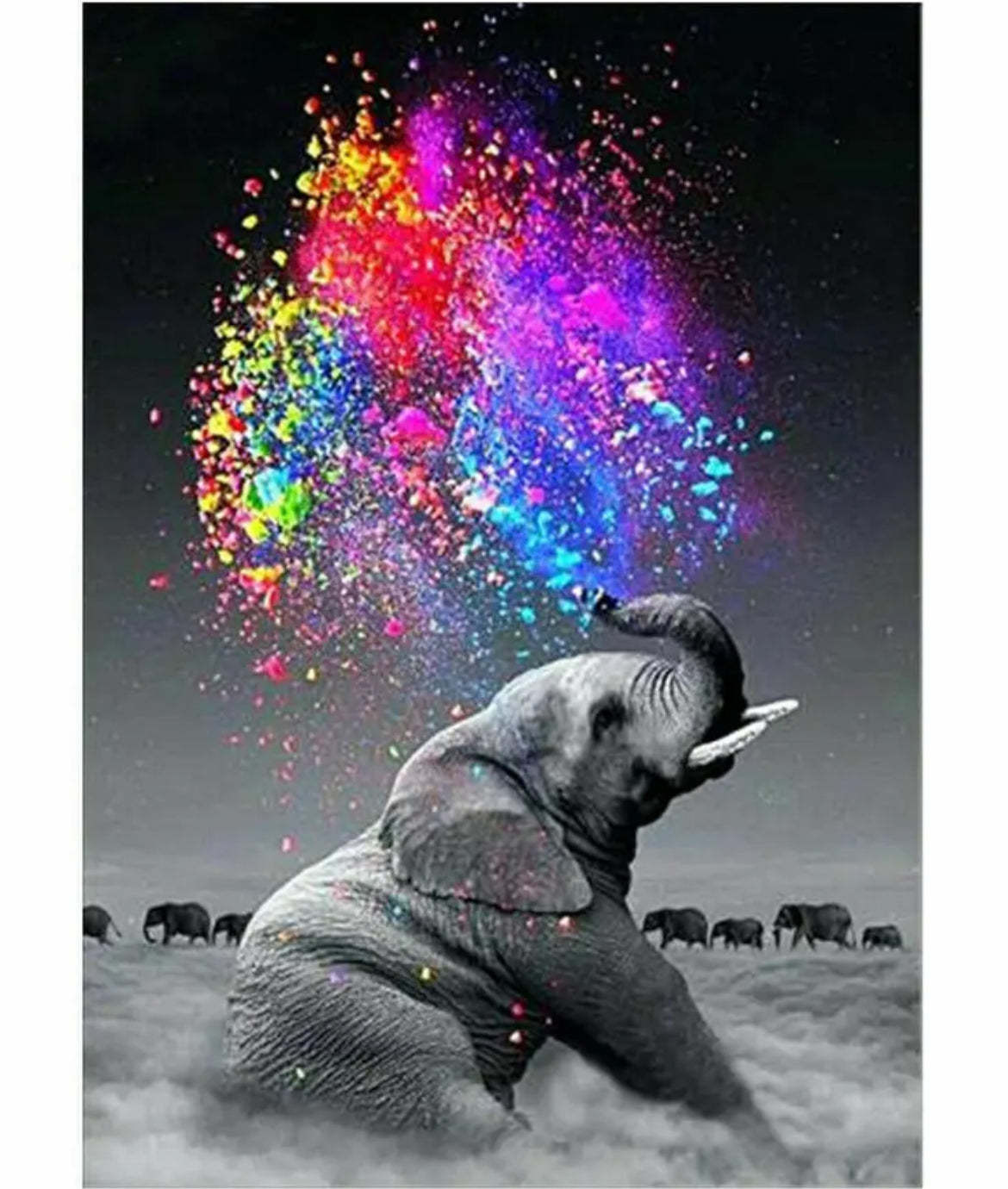 Colourful Elephant Diamond Painting