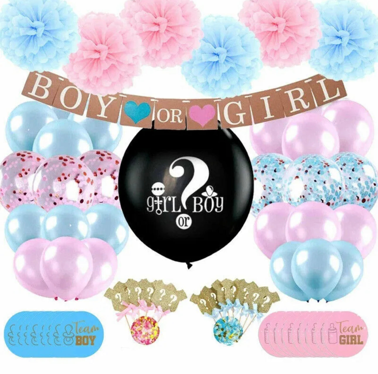 107 piece Gender Reveal Party Set