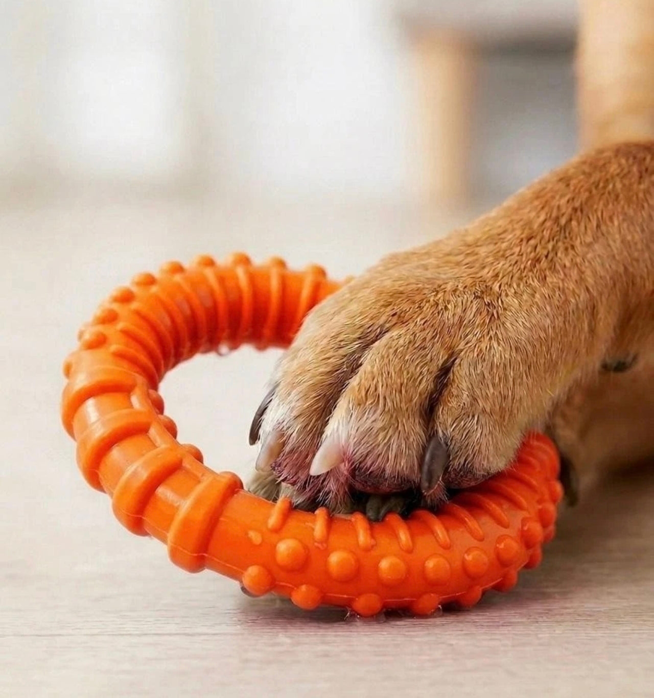 Textured Rubber Ring Chew