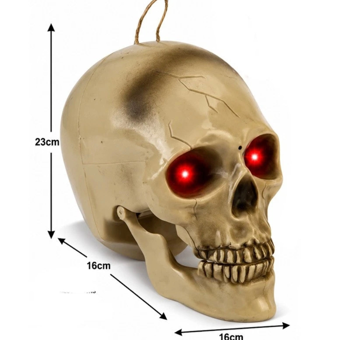 Talking Skull Decoration