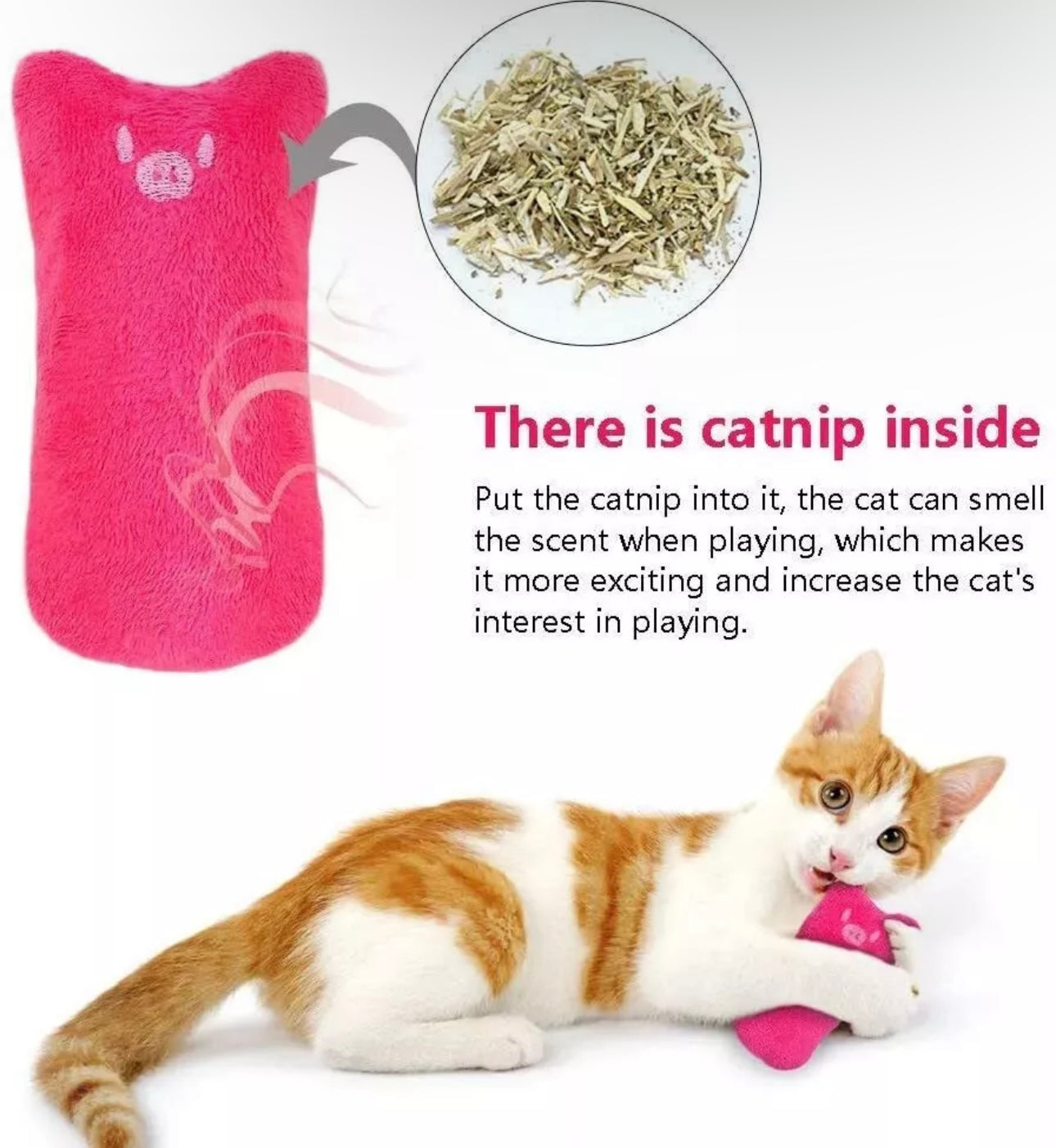 2pc Catnip Filled Chew Toy