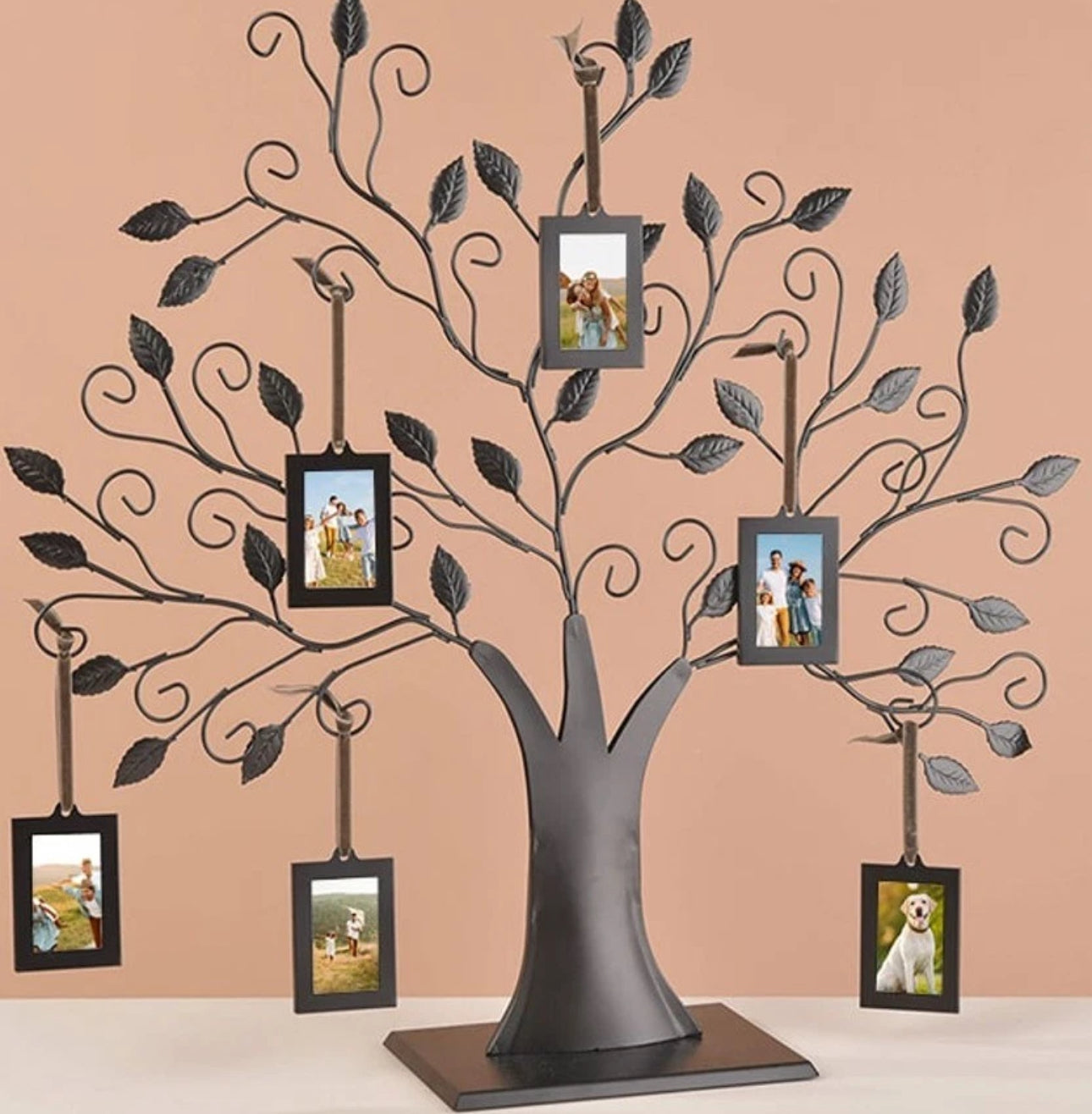 Family Tree Photo Frame With 6 Hanging Photo Frames