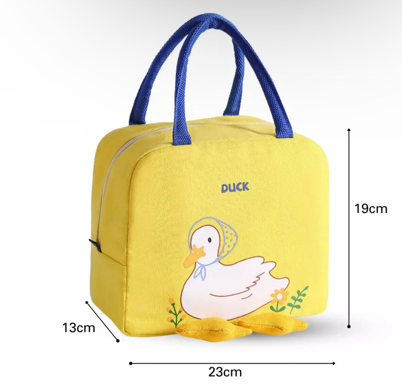 Insulated Lunch Bag