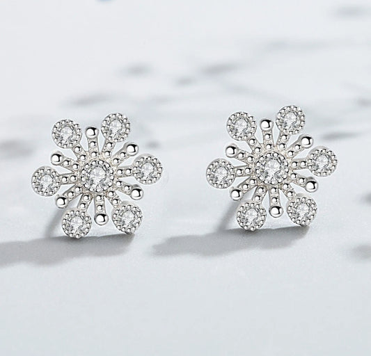 Silver Snowflake