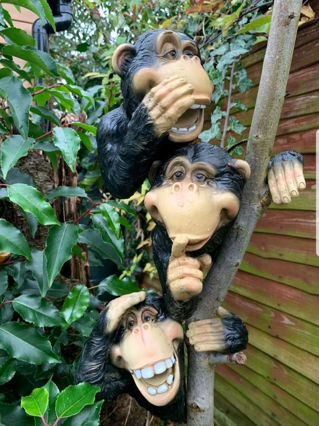 Set Of 3 Monkey Tree Peekers