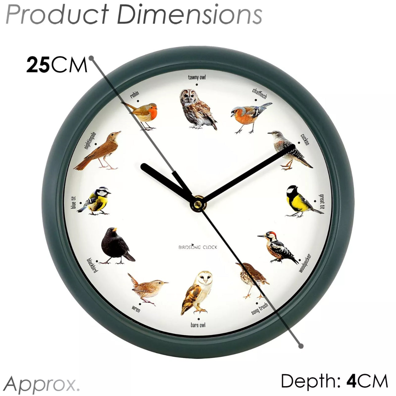 Singing Bird Wall Clock