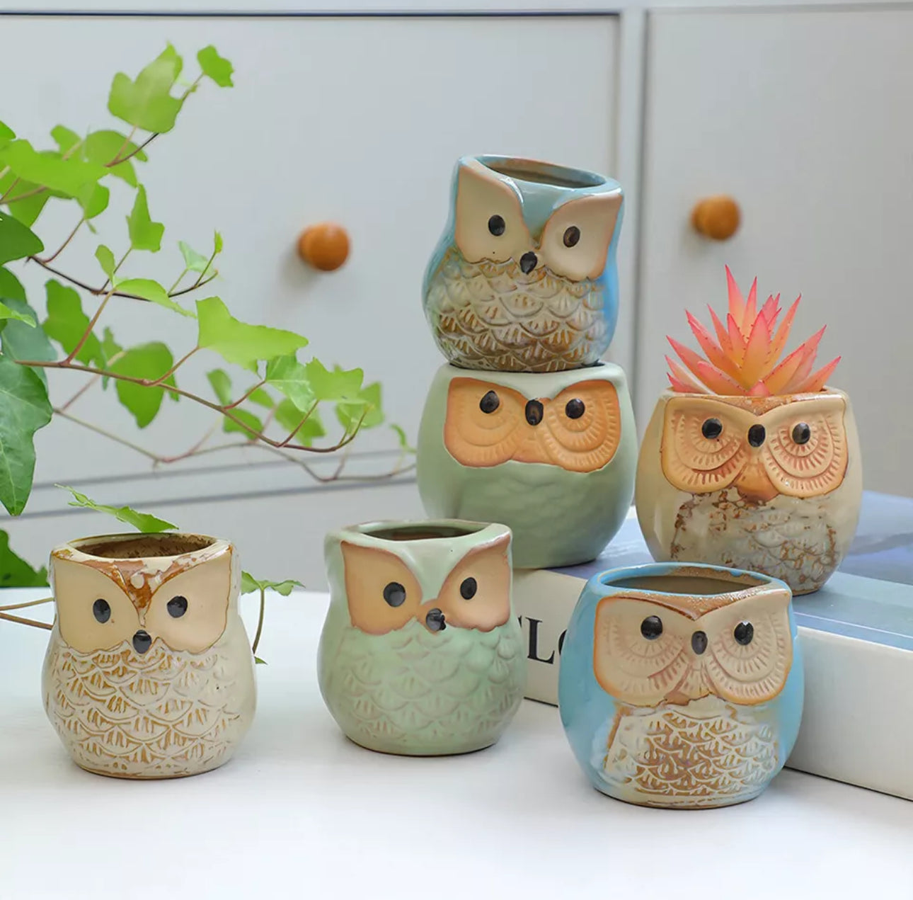 6pcs Mini Ceramic Owl Plant Pots With Bamboo Stand