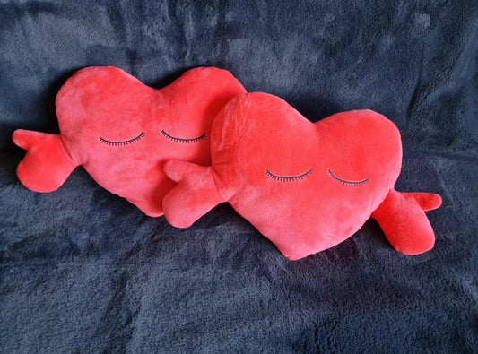 2pc Plush Heart Cushion Gift