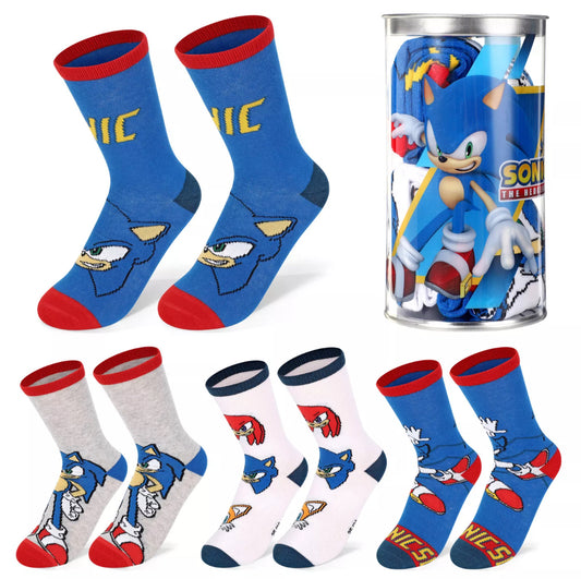 Blue Hedgehog 4 Pairs Socks Inside Money Bank