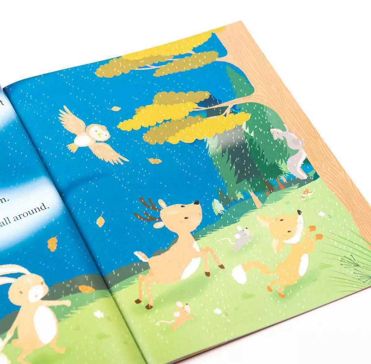 I love you Honey Bunny Bedtime StoryBook