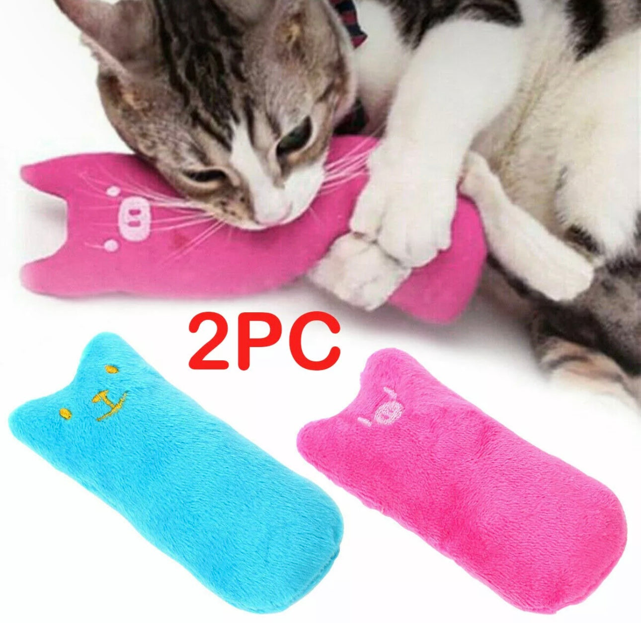 2pc Catnip Filled Chew Toy