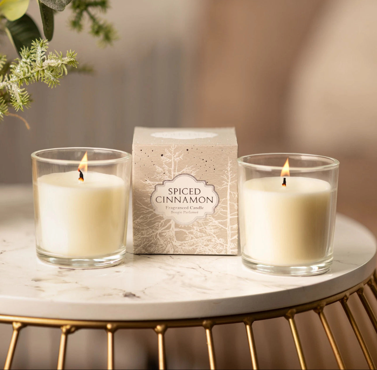 Set of 2 Spiced Cinnamon Jar Candles