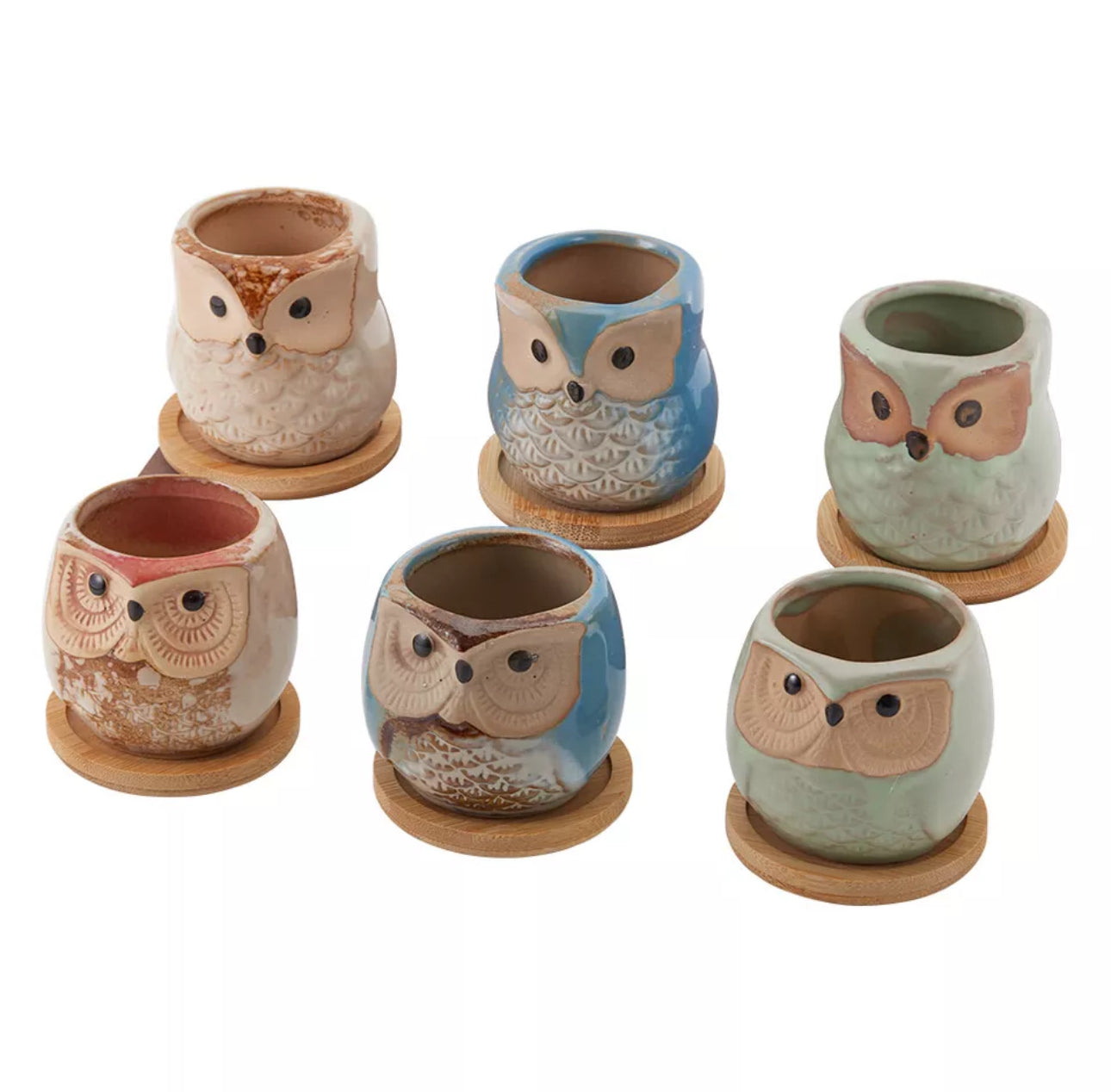 6pcs Mini Ceramic Owl Plant Pots With Bamboo Stand