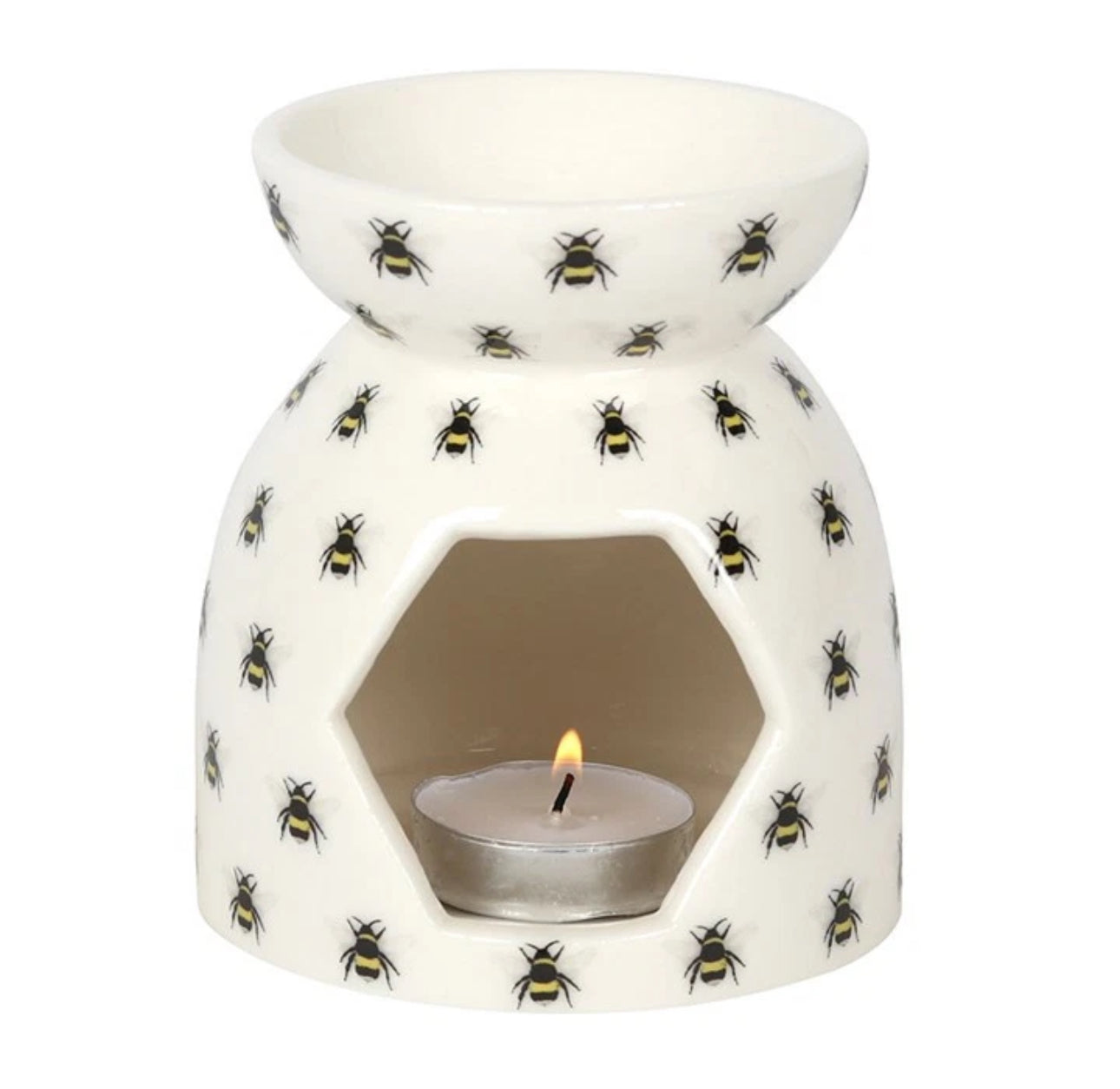 Buzzy Bee Wax Melter