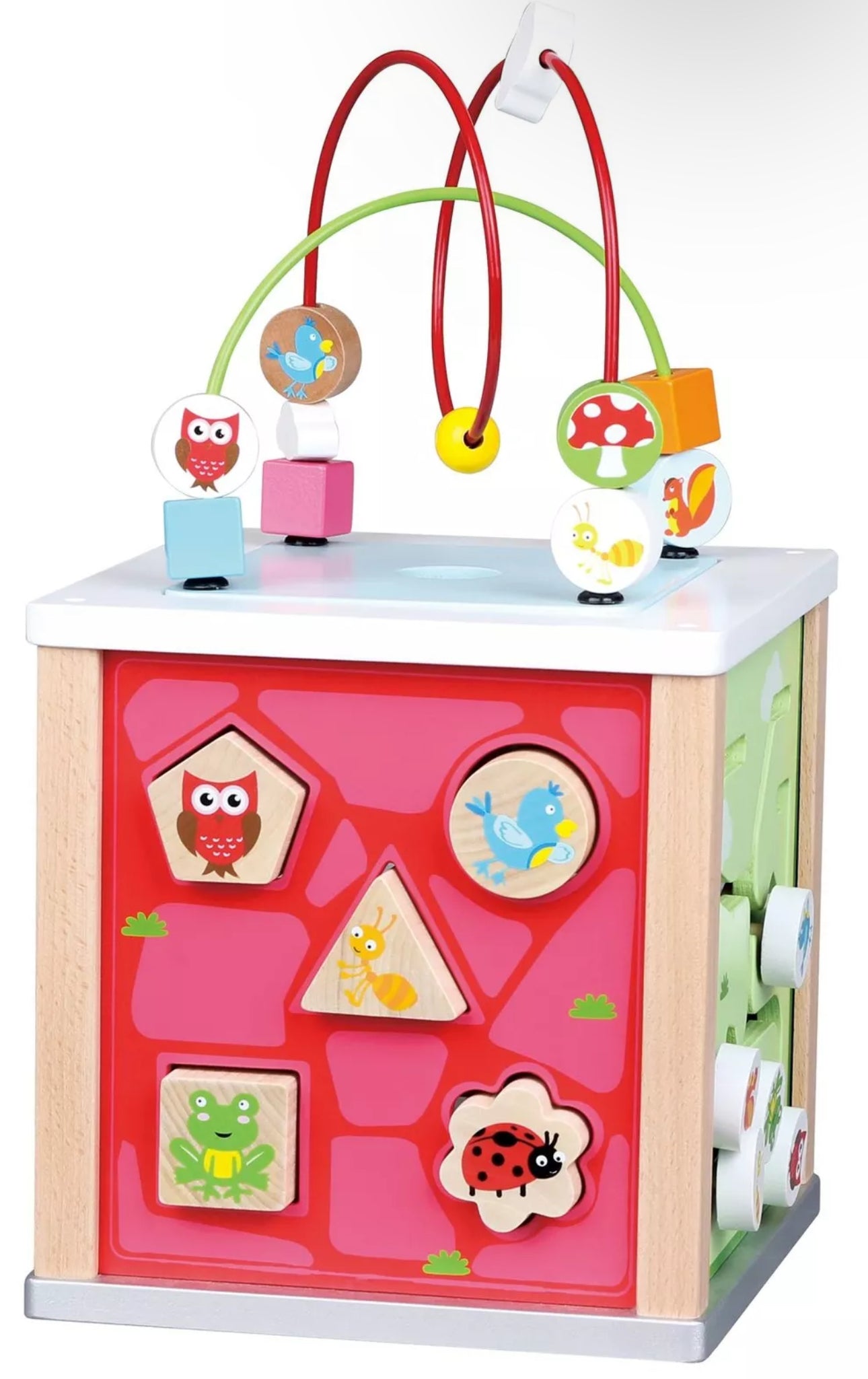 Wooden Nature Activity Cube