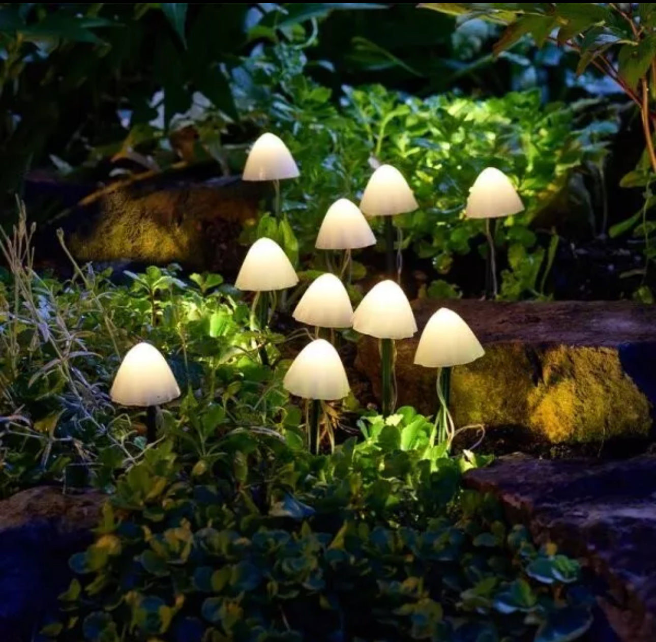 10pc Solar Mushroom Warm White Path Lights