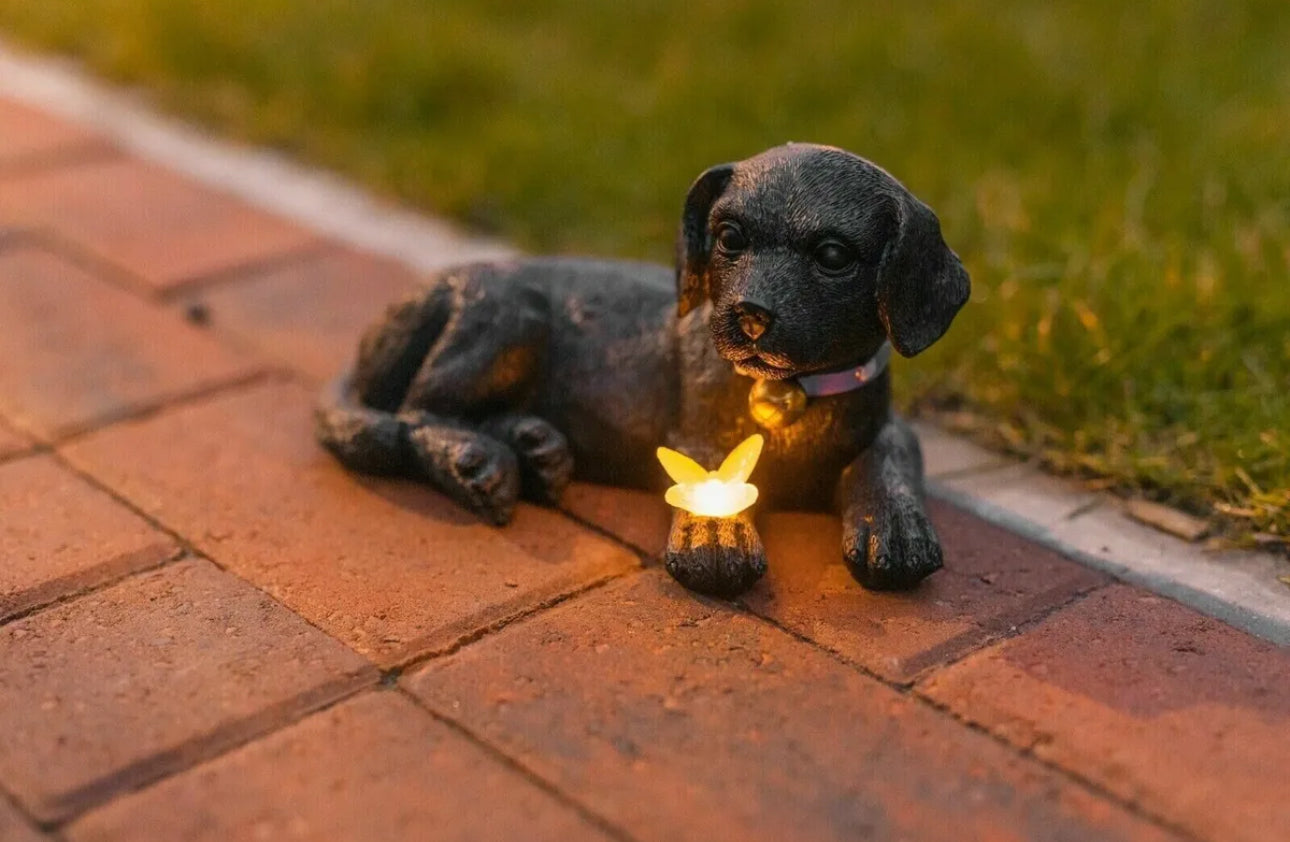 Solar Black Puppy With Butterfly