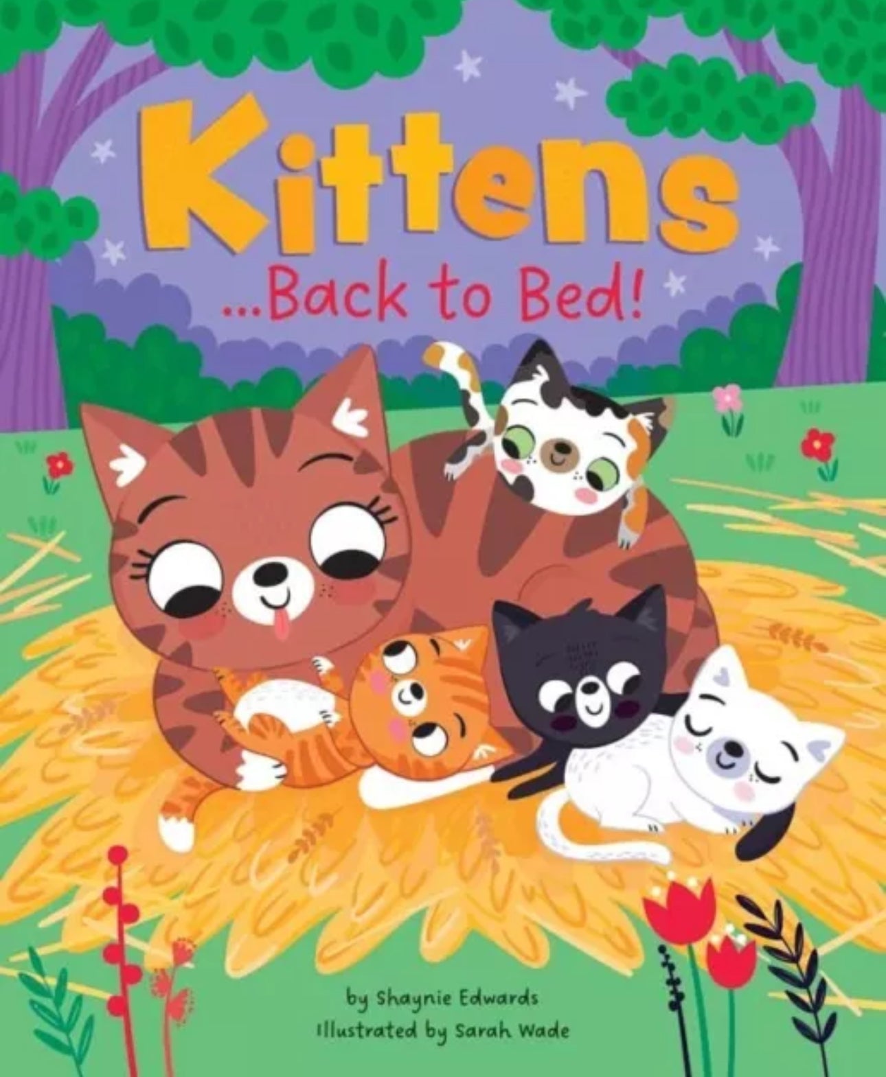 Kittens Back To Bed Story Book