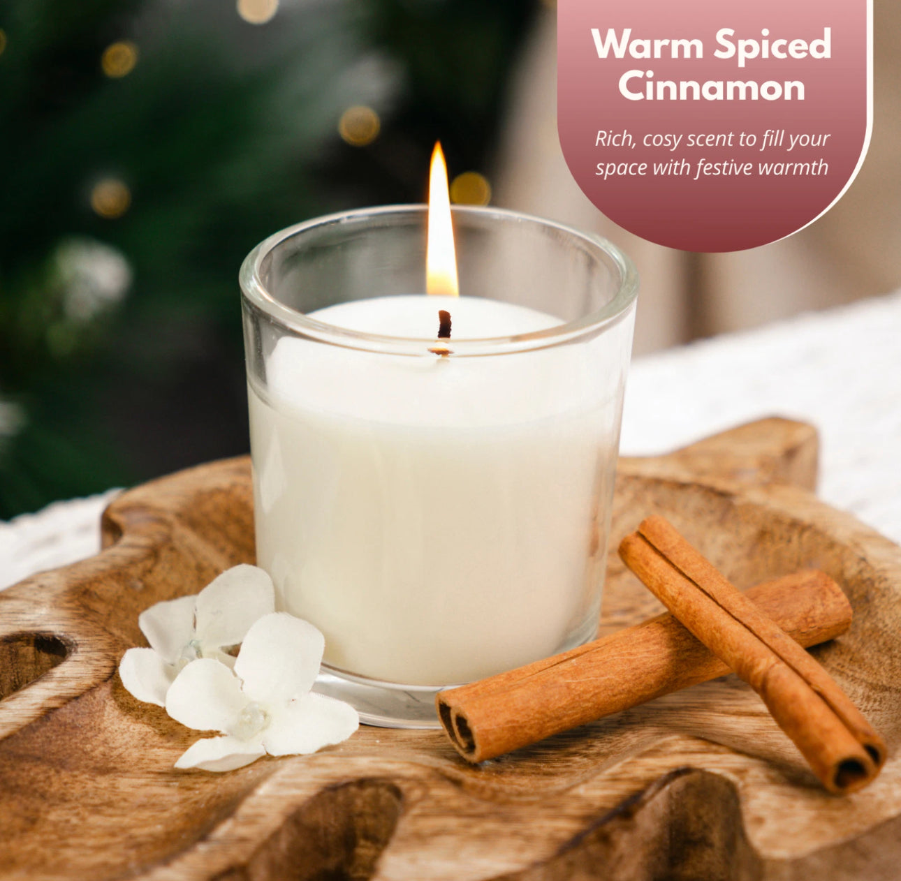 Set of 2 Spiced Cinnamon Jar Candles