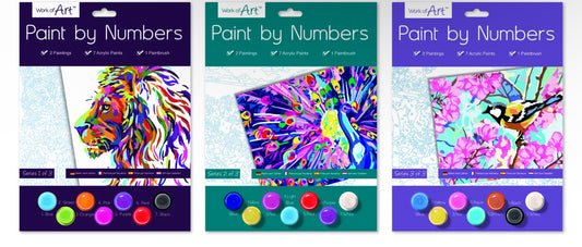 Adults Paint By Numbers (Random Sent)