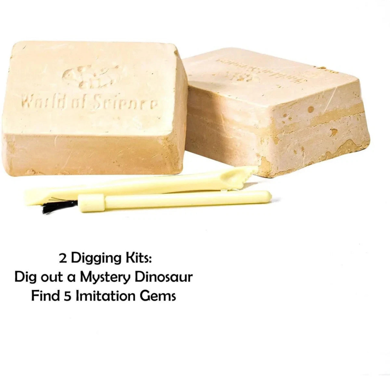 6-In-1 Science Experiment Kit