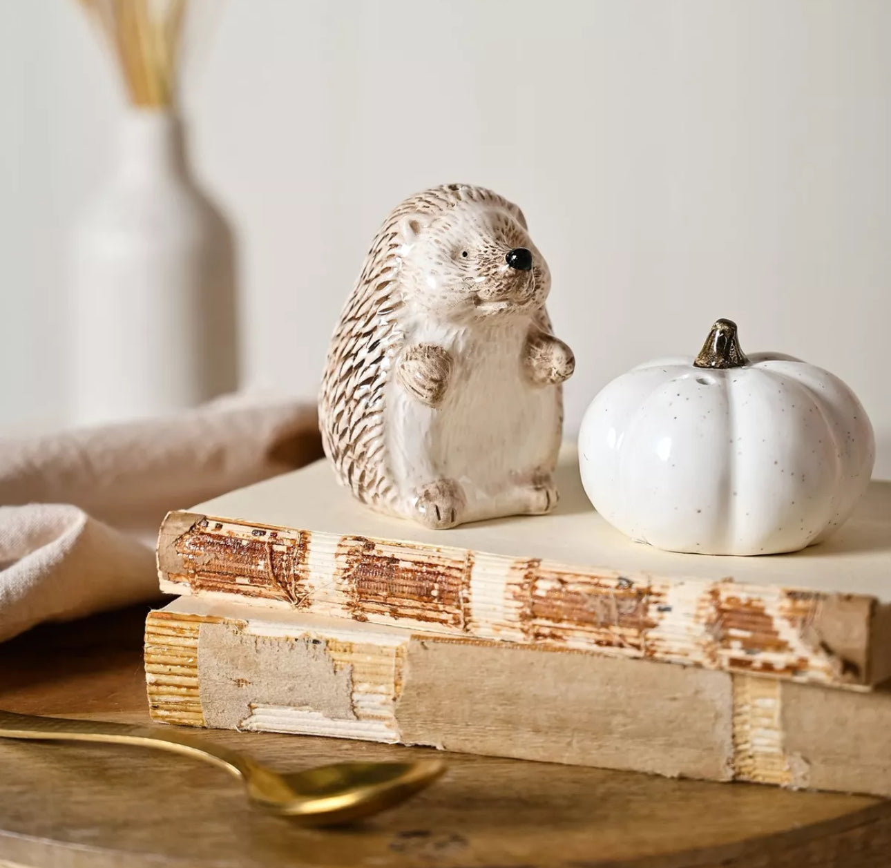 Pumpkin & Hedgehog Salt & Pepper Shaker Set