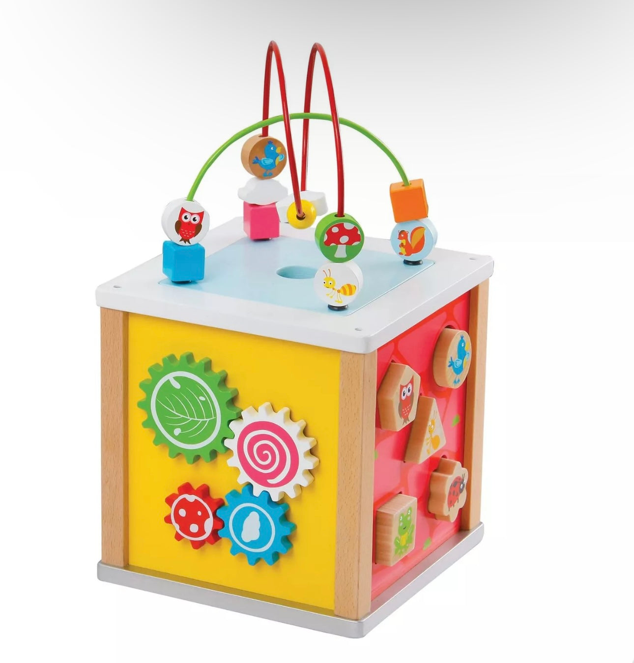 Wooden Nature Activity Cube