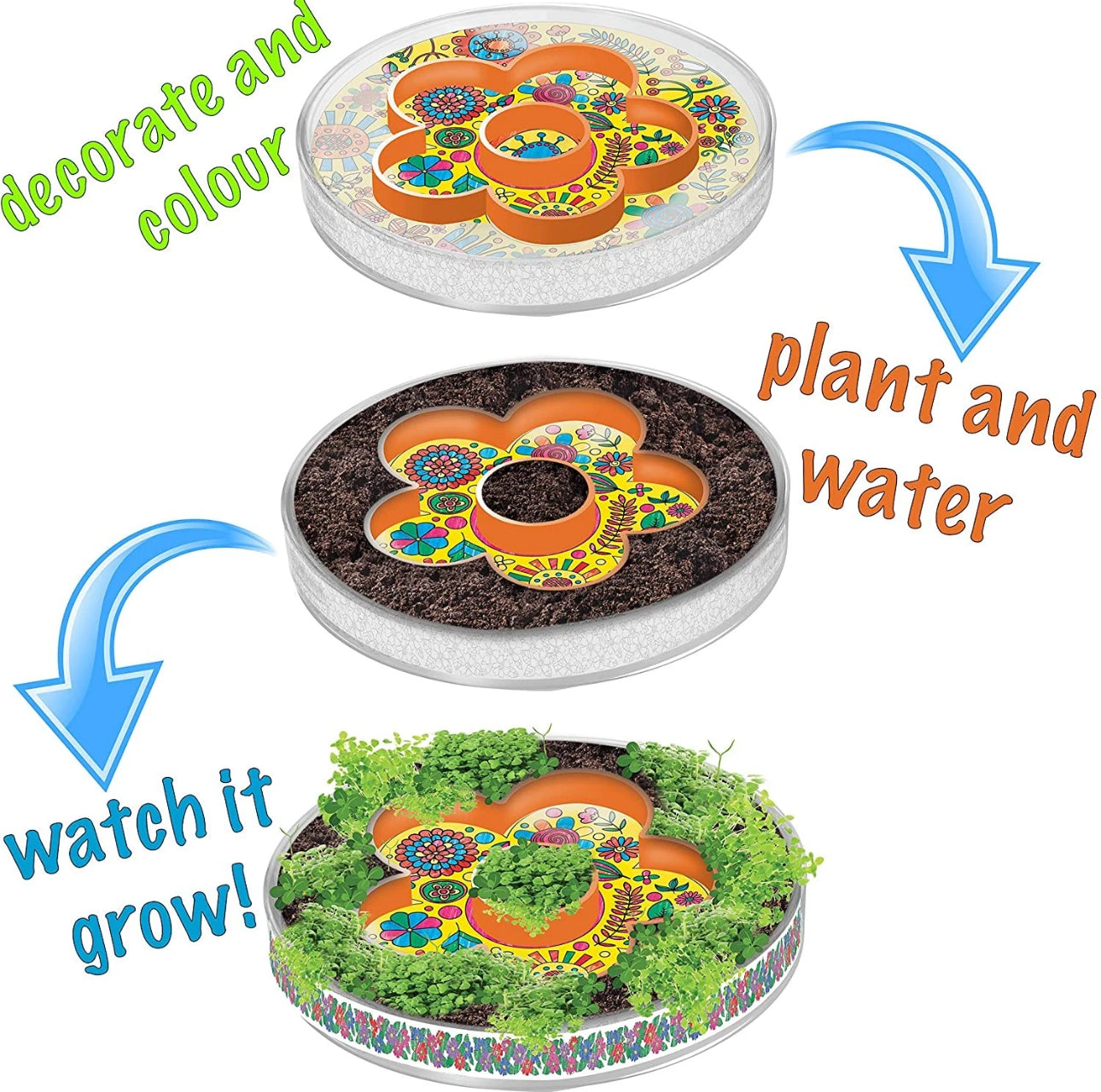 Grow Your Own Chia Seed Garden
