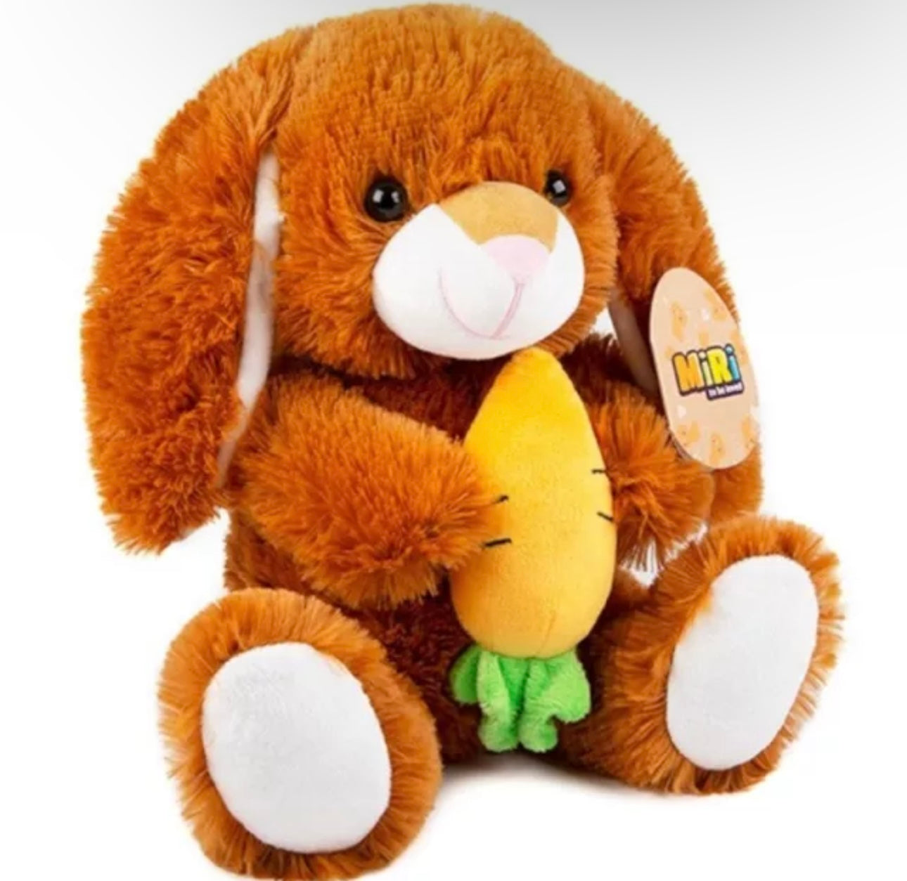 Soft Plush Rabbit With Carrot