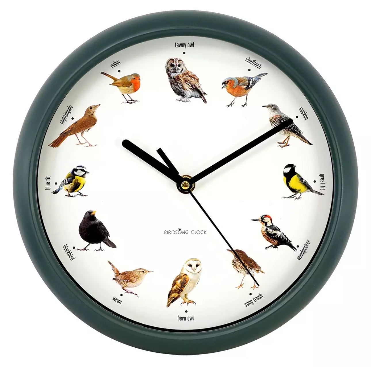 Singing Bird Wall Clock