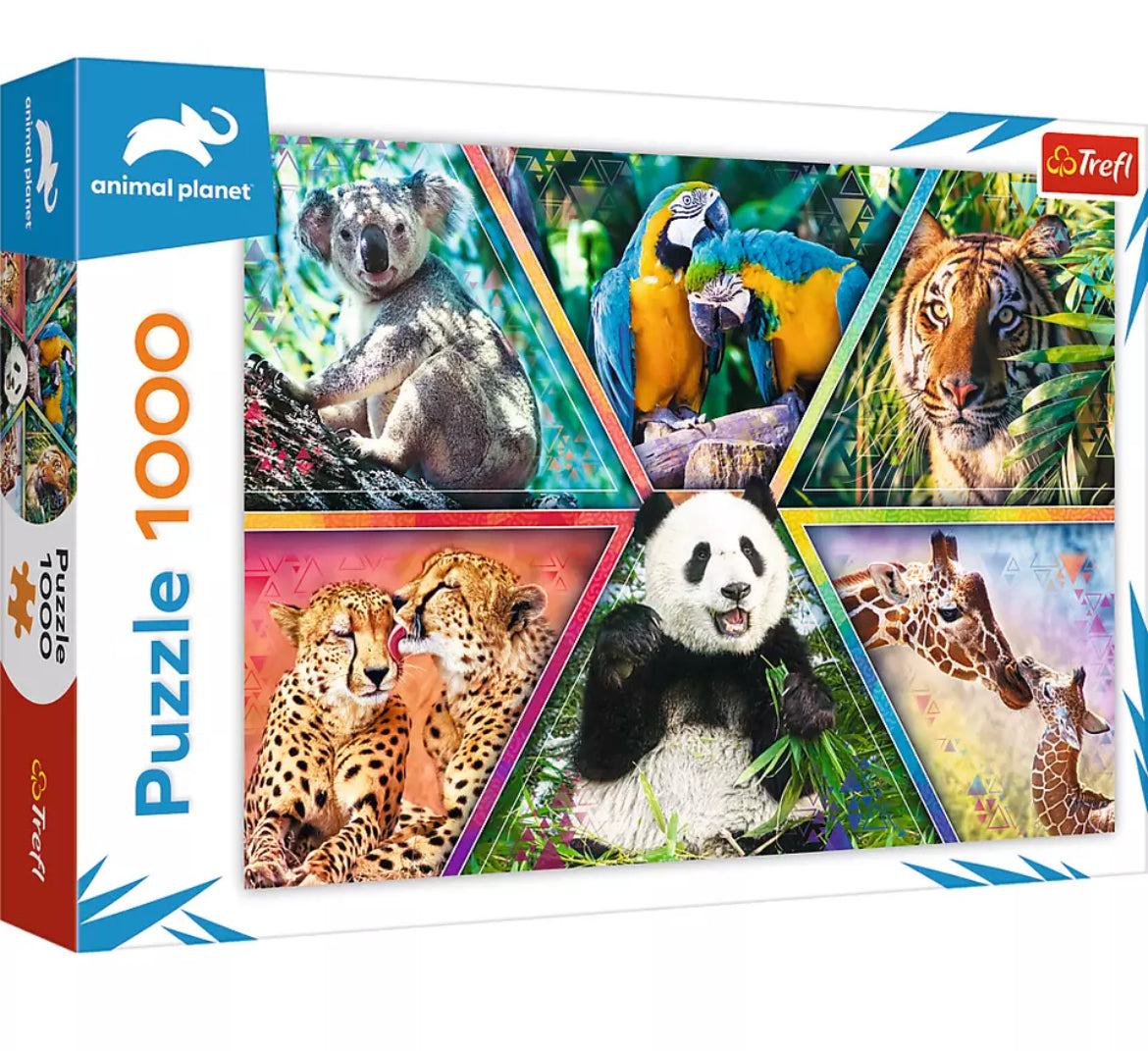 Animal Kingdom Puzzle